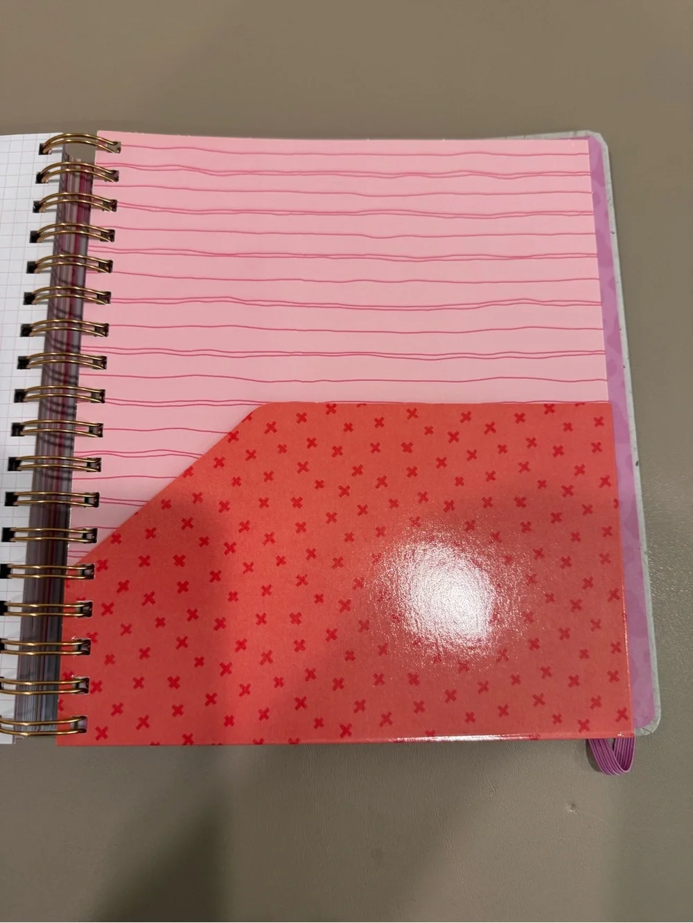 17 month, Aug 2026 - Dec 2027 Pink Western Weekly Planner with gold stickers
